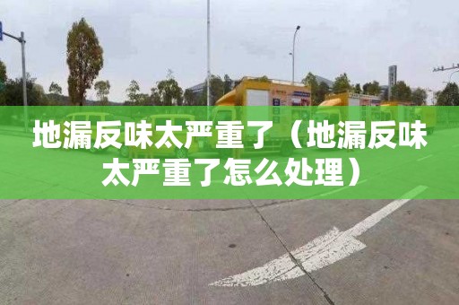 地漏反味太嚴重了（地漏反味太嚴重了怎么處理）