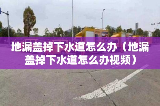 地漏蓋掉下水道怎么辦（地漏蓋掉下水道怎么辦視頻）