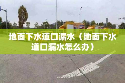 地面下水道口漏水（地面下水道口漏水怎么辦）