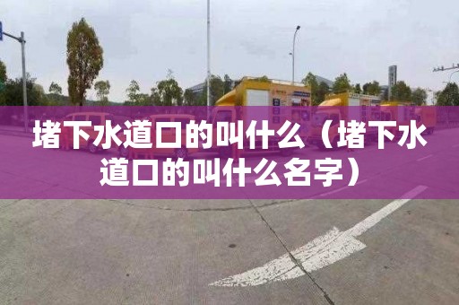 堵下水道口的叫什么（堵下水道口的叫什么名字）