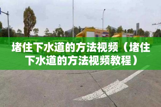 堵住下水道的方法視頻（堵住下水道的方法視頻教程）