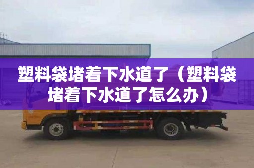 塑料袋堵著下水道了（塑料袋堵著下水道了怎么辦）