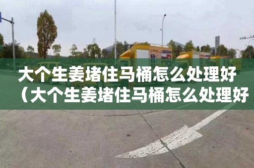 大個生姜堵住馬桶怎么處理好（大個生姜堵住馬桶怎么處理好呢）