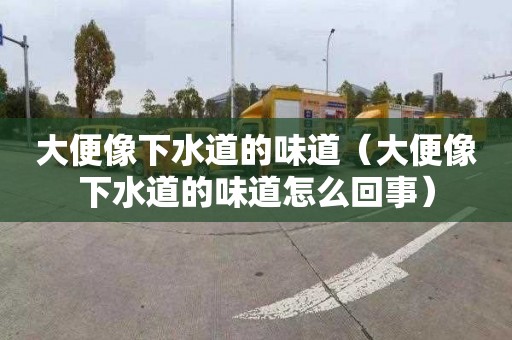 大便像下水道的味道（大便像下水道的味道怎么回事）