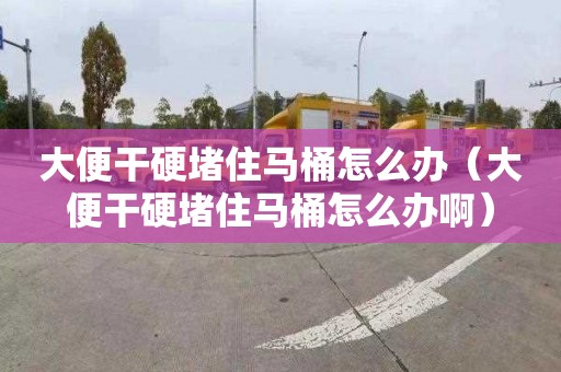 大便干硬堵住馬桶怎么辦（大便干硬堵住馬桶怎么辦?。? title=