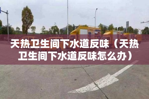 天熱衛生間下水道反味（天熱衛生間下水道反味怎么辦）