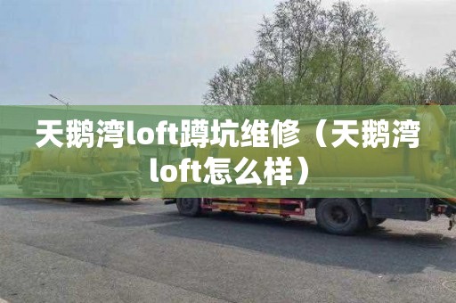 天鵝灣loft蹲坑維修（天鵝灣loft怎么樣）