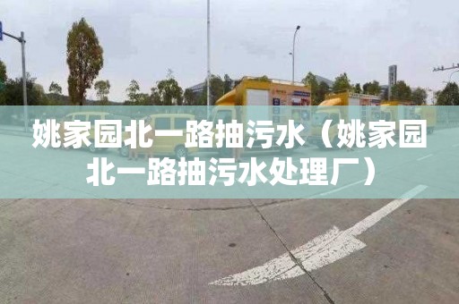 姚家園北一路抽污水（姚家園北一路抽污水處理廠）