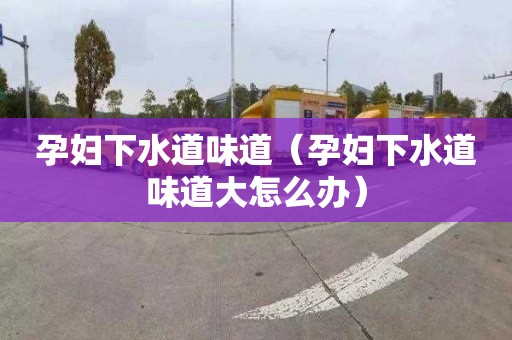 孕婦下水道味道（孕婦下水道味道大怎么辦）