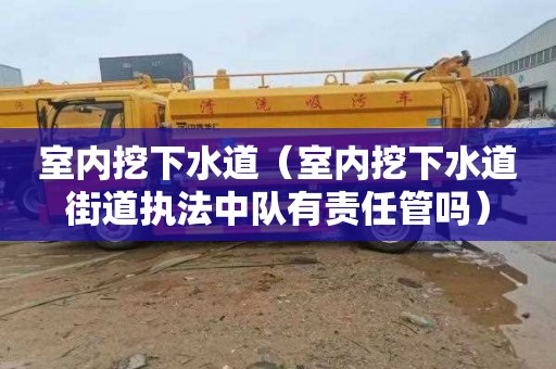 室內挖下水道（室內挖下水道街道執法中隊有責任管嗎）