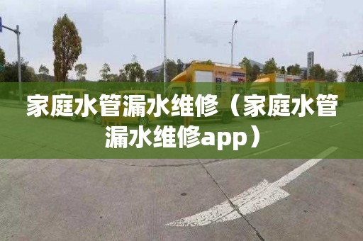 家庭水管漏水維修（家庭水管漏水維修app）