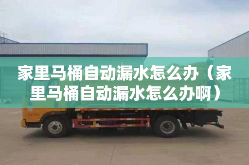 家里馬桶自動漏水怎么辦（家里馬桶自動漏水怎么辦?。?></div>
            <div   id=