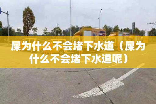 屎為什么不會堵下水道（屎為什么不會堵下水道呢）