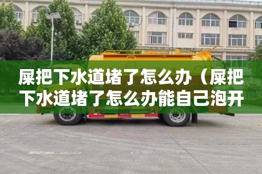 屎把下水道堵了怎么辦（屎把下水道堵了怎么辦能自己泡開嗎）