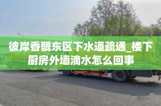 彼岸香醍東區(qū)下水道疏通_樓下廚房外墻滴水怎么回事