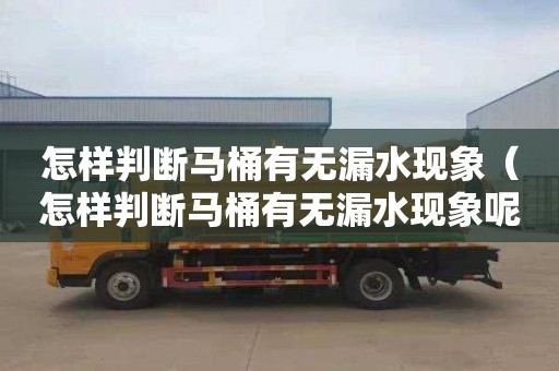 怎樣判斷馬桶有無漏水現象（怎樣判斷馬桶有無漏水現象呢）