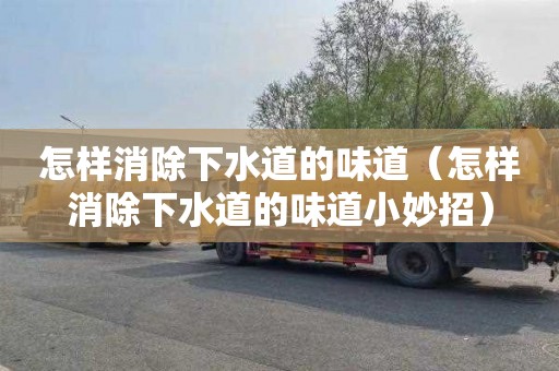 怎樣消除下水道的味道（怎樣消除下水道的味道小妙招）