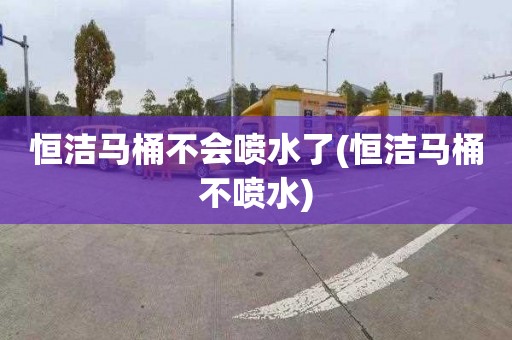 恒潔馬桶不會噴水了(恒潔馬桶不噴水)