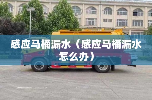 感應馬桶漏水（感應馬桶漏水怎么辦）