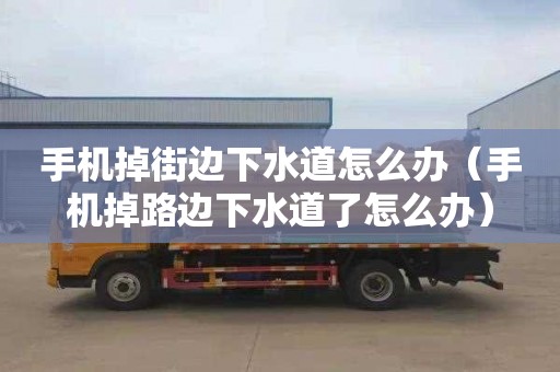 手機(jī)掉街邊下水道怎么辦（手機(jī)掉路邊下水道了怎么辦）