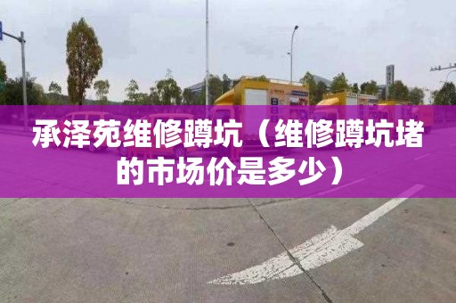 承澤苑維修蹲坑（維修蹲坑堵的市場價是多少）