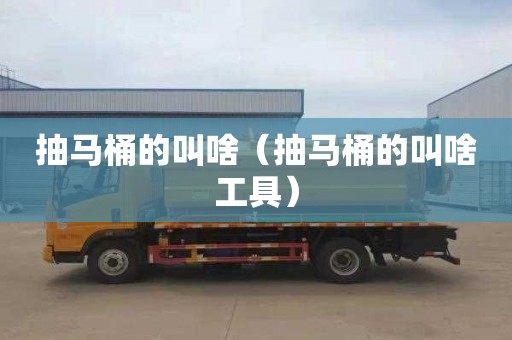 抽馬桶的叫啥（抽馬桶的叫啥工具）