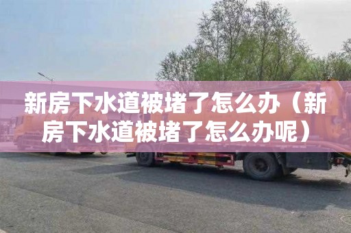 新房下水道被堵了怎么辦（新房下水道被堵了怎么辦呢）