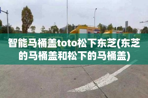 智能馬桶蓋toto松下東芝(東芝的馬桶蓋和松下的馬桶蓋)