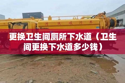 更換衛生間廁所下水道（衛生間更換下水道多少錢）