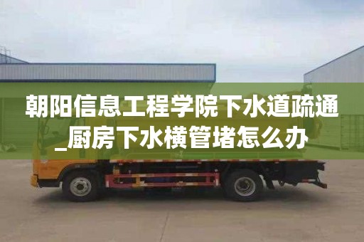 朝陽信息工程學院下水道疏通_廚房下水橫管堵怎么辦