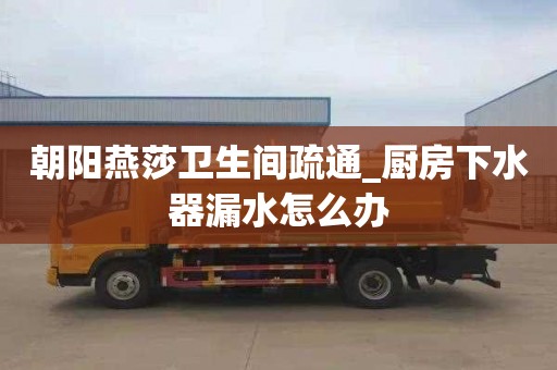 朝陽燕莎衛生間疏通_廚房下水器漏水怎么辦