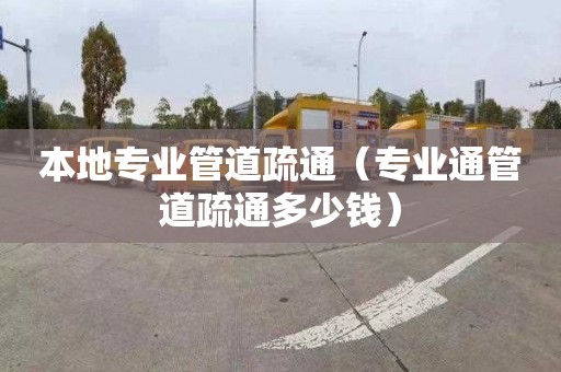 本地專業管道疏通（專業通管道疏通多少錢）