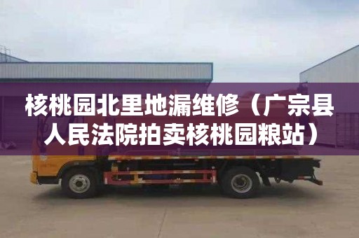 核桃園北里地漏維修（廣宗縣人民法院拍賣核桃園糧站）