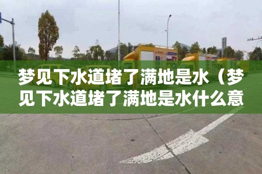 夢見下水道堵了滿地是水（夢見下水道堵了滿地是水什么意思）