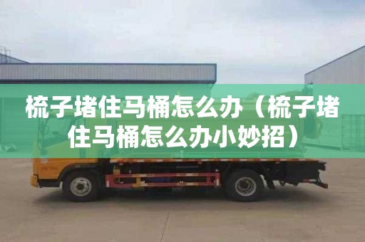 梳子堵住馬桶怎么辦（梳子堵住馬桶怎么辦小妙招）