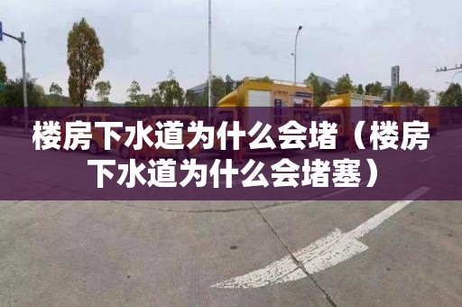 樓房下水道為什么會堵（樓房下水道為什么會堵塞）