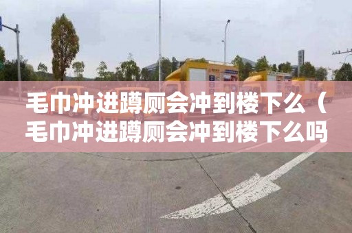 毛巾沖進(jìn)蹲廁會沖到樓下么（毛巾沖進(jìn)蹲廁會沖到樓下么嗎）