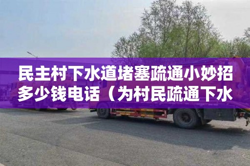 民主村下水道堵塞疏通小妙招多少錢電話（為村民疏通下水道）