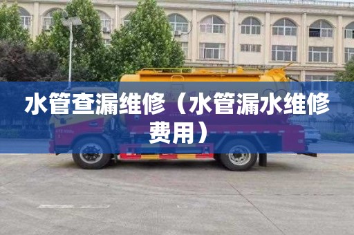 水管查漏維修（水管漏水維修費用）