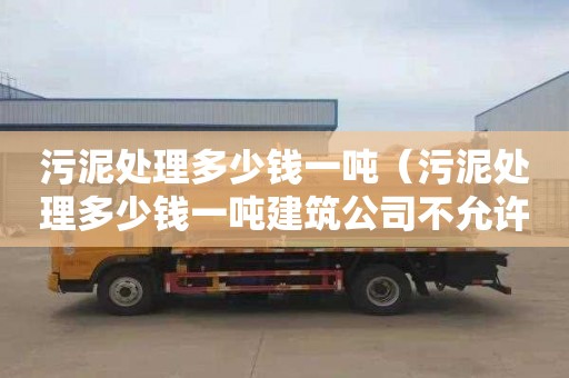 污泥處理多少錢一噸（污泥處理多少錢一噸建筑公司不允許轉包嗎）