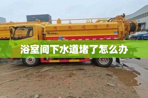 浴室間下水道堵了怎么辦