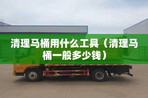 清理馬桶用什么工具（清理馬桶一般多少錢）