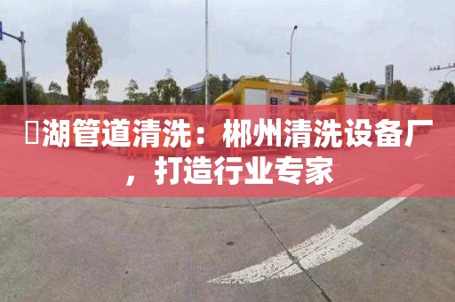 滆湖管道清洗：郴州清洗設備廠，打造行業專家