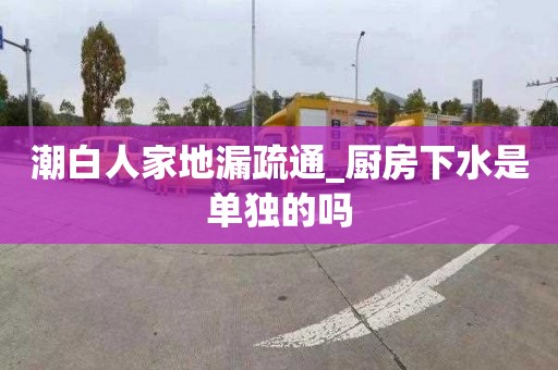 潮白人家地漏疏通_廚房下水是單獨的嗎