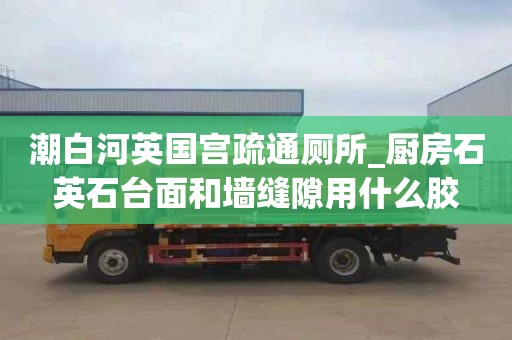 潮白河英國宮疏通廁所_廚房石英石臺面和墻縫隙用什么膠