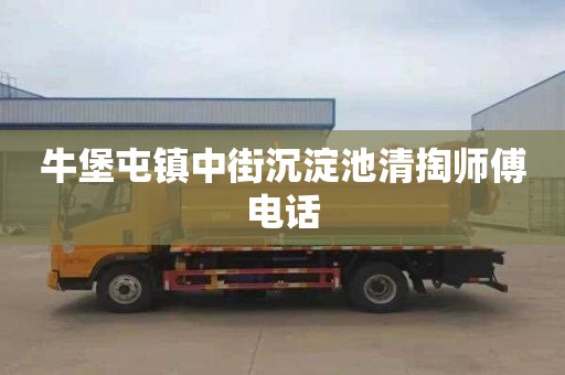 牛堡屯鎮(zhèn)中街沉淀池清掏師傅電話