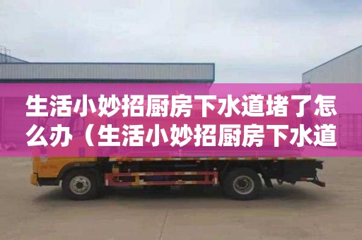 生活小妙招廚房下水道堵了怎么辦（生活小妙招廚房下水道堵了怎么辦視頻）