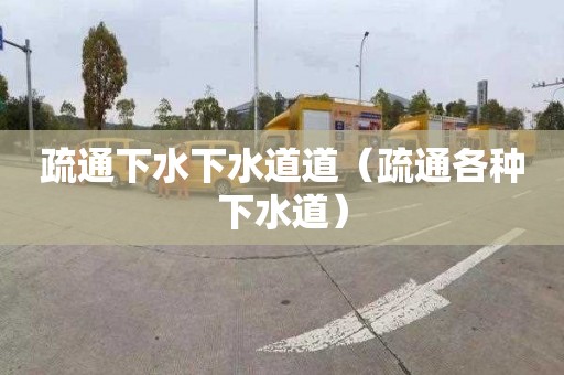 疏通下水下水道道（疏通各種下水道）