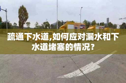 疏通下水道,如何應對漏水和下水道堵塞的情況？