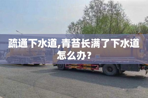 疏通下水道,青苔長滿了下水道怎么辦？